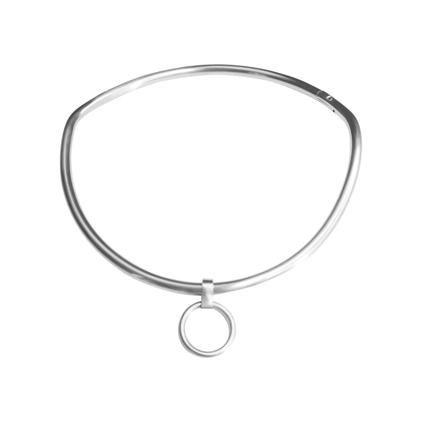 New Design 6mm Curved Satin Stainless Steel Collar with O-Ring