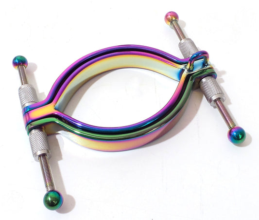 Rainbow Pussy Clamp Labia Clamp with Ring Stainless
