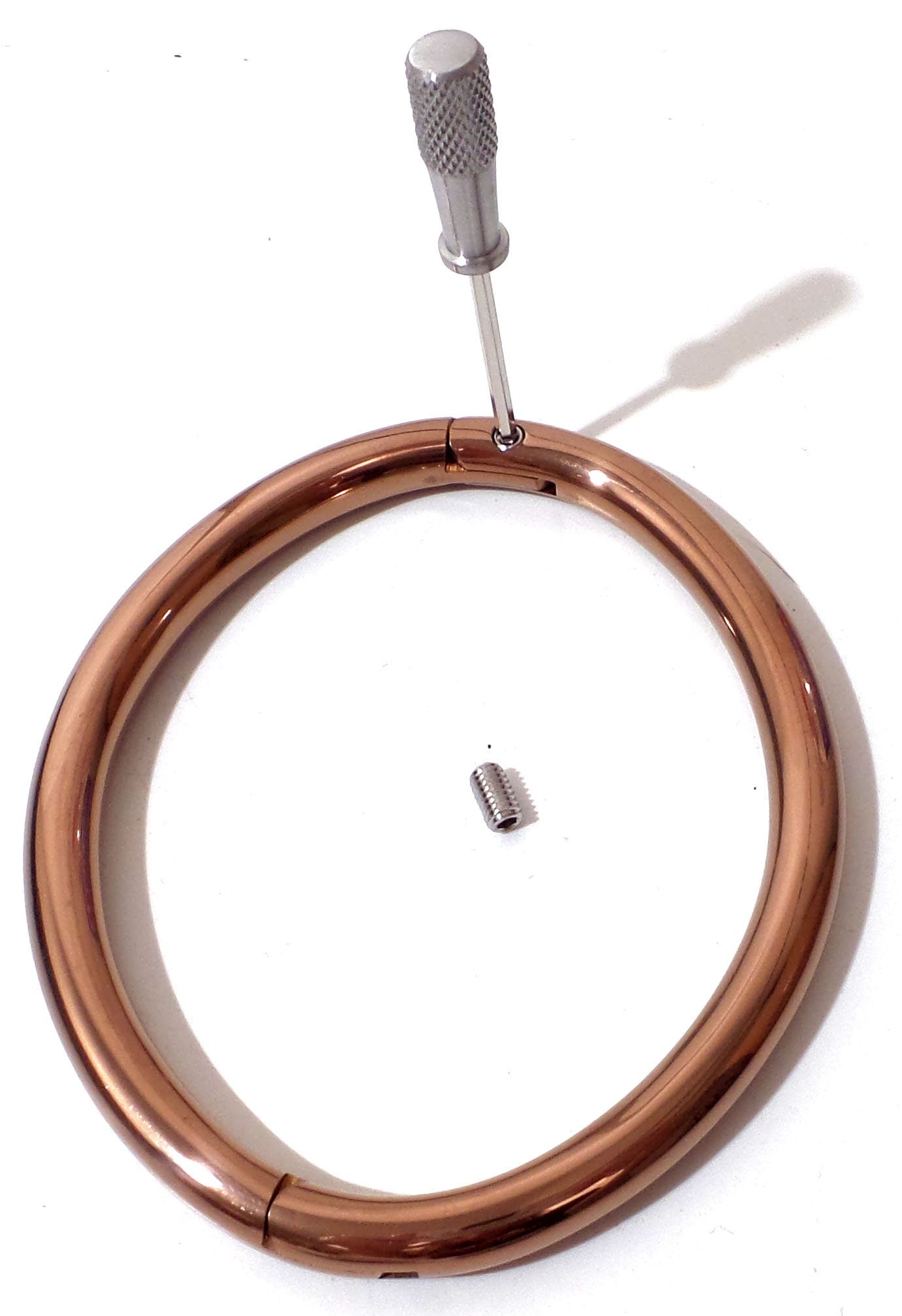 Rose Gold Titanium Over Stainless Elliptical Eternity Locking Anklet, Bracelet (BDSM Locking Anklet) - Multiple Sizes Available