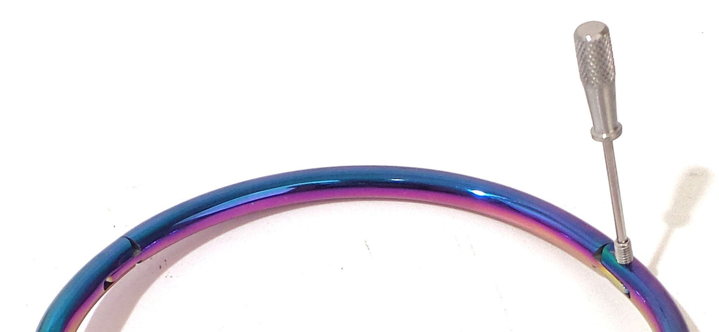 Locking Collar Rainbow Stainless Curved Bondage Neck Choker Collar w/ Ring
