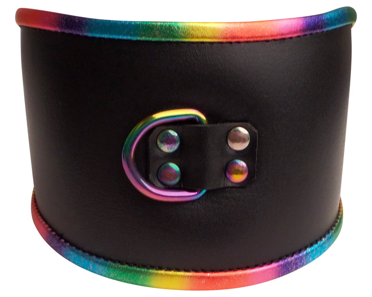 Rainbow Padded Leather Lockable Posture Collar – Clawfoot Productions