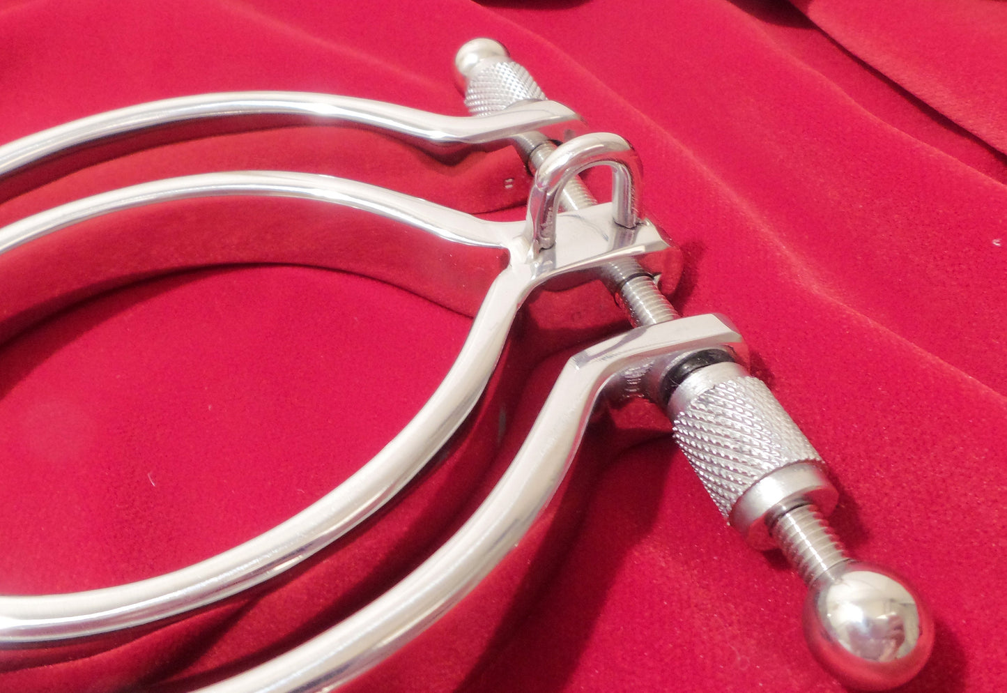 Pussy Clamp Labia Clamp with Ring Stainless