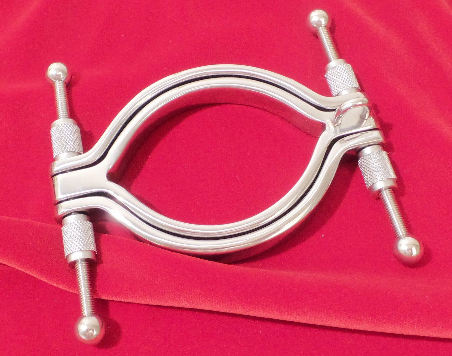 Pussy Clamp Labia Clamp with Ring Stainless