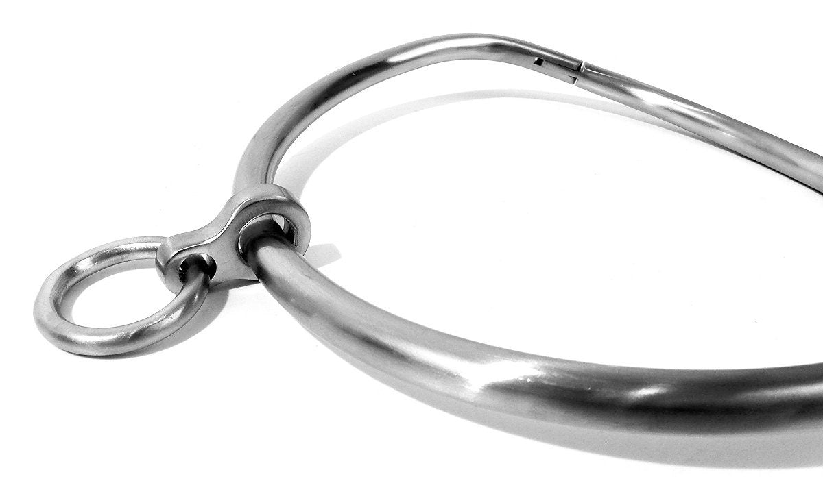 Locking Collar, 14"-20" Satin Stainless Curved Bondage Neck Choker Collar w/ Ring