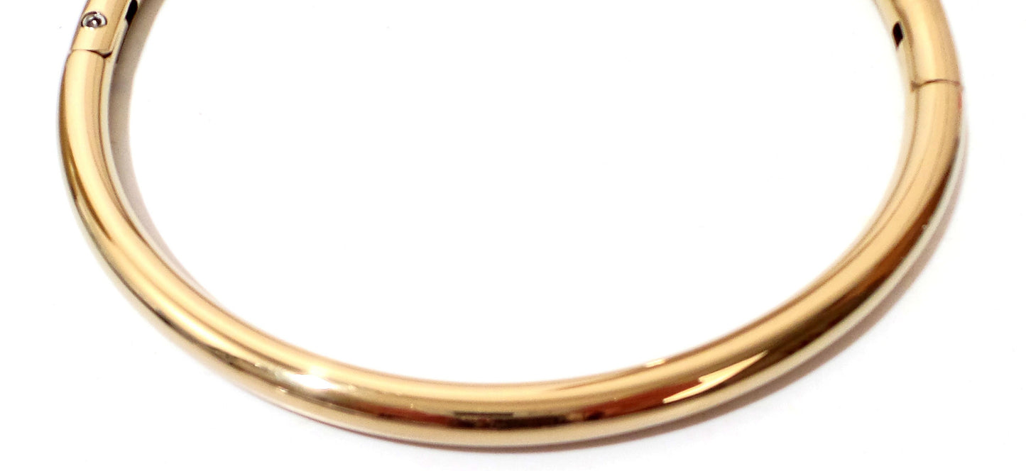 Gold Titanium Locking Eternity Collar over Stainless Steel