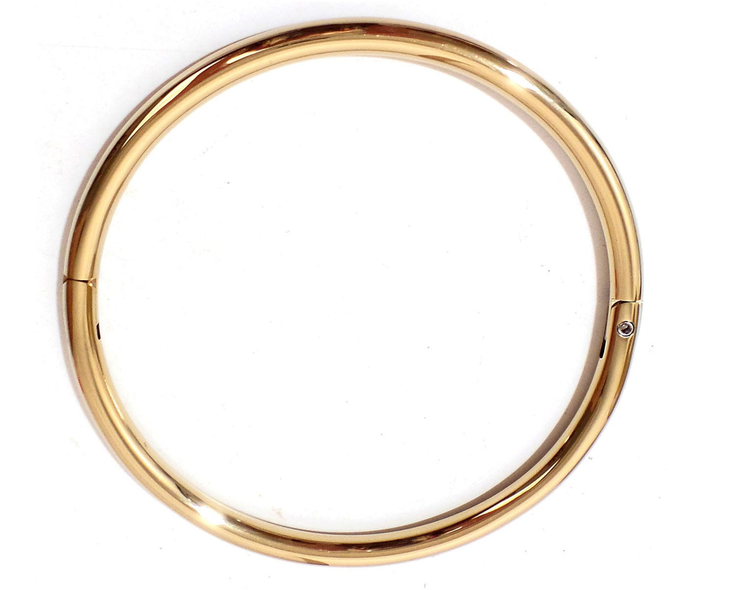 Gold Titanium Locking Eternity Collar over Stainless Steel