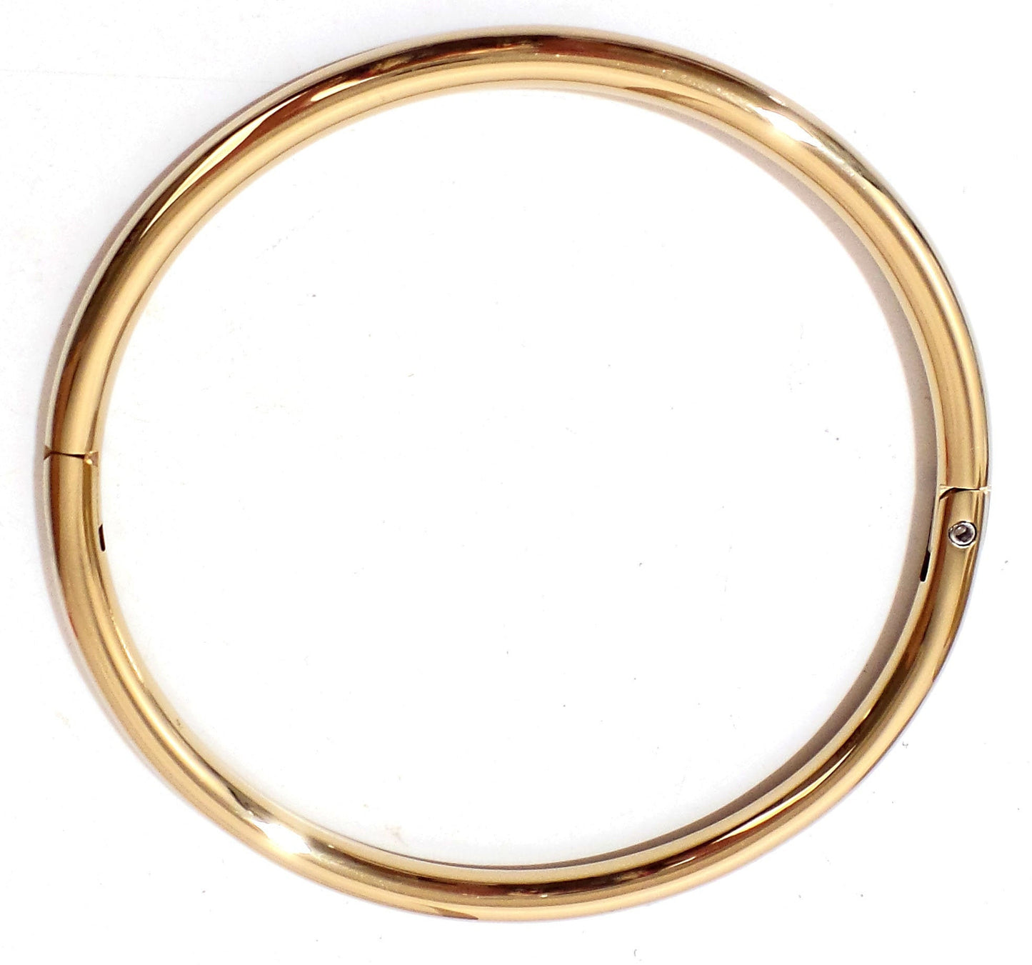 Gold Titanium Locking Eternity Collar over Stainless Steel