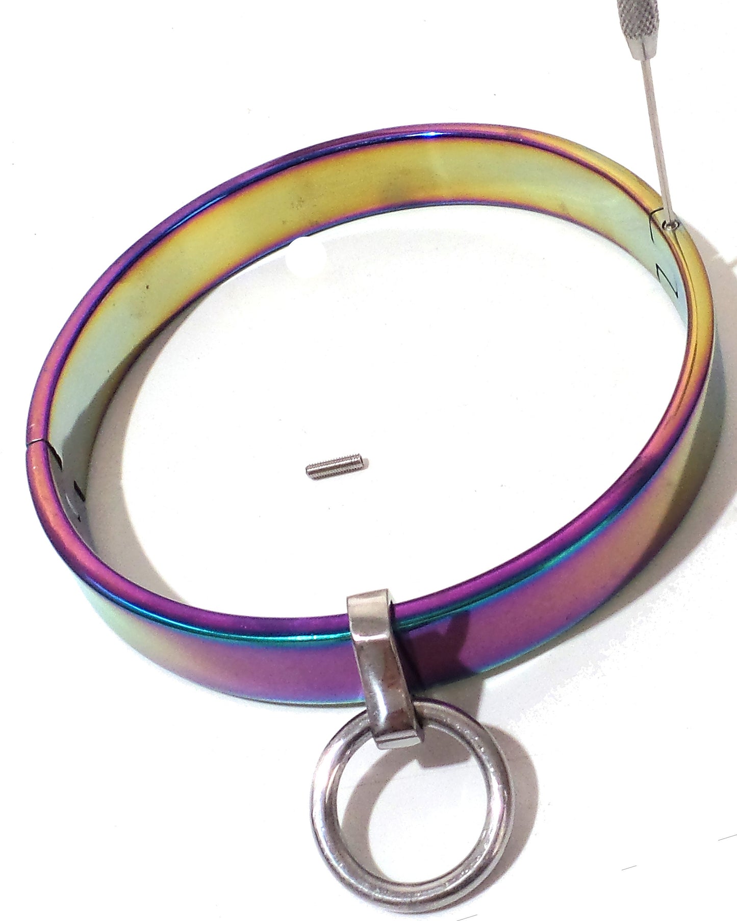 Flat Locking Slave Collar Choker Rainbow BDSM Collar