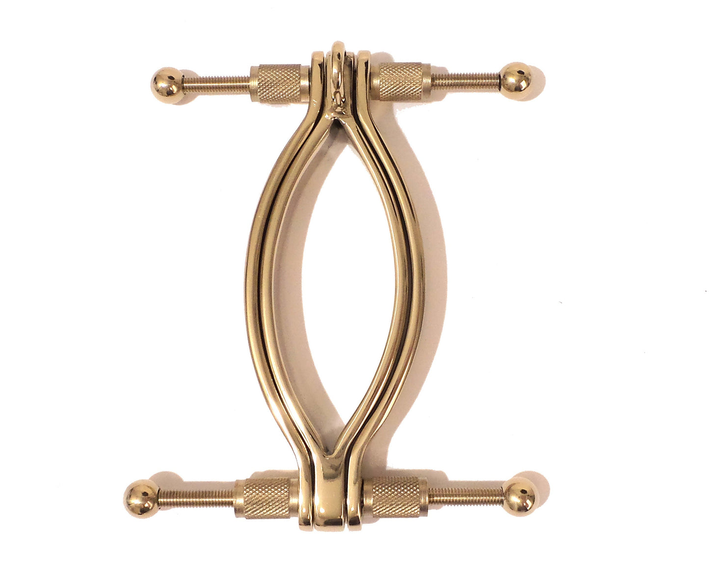 Gold  Finish: Pussy Clamp Labia Clamp with Ring Stainless