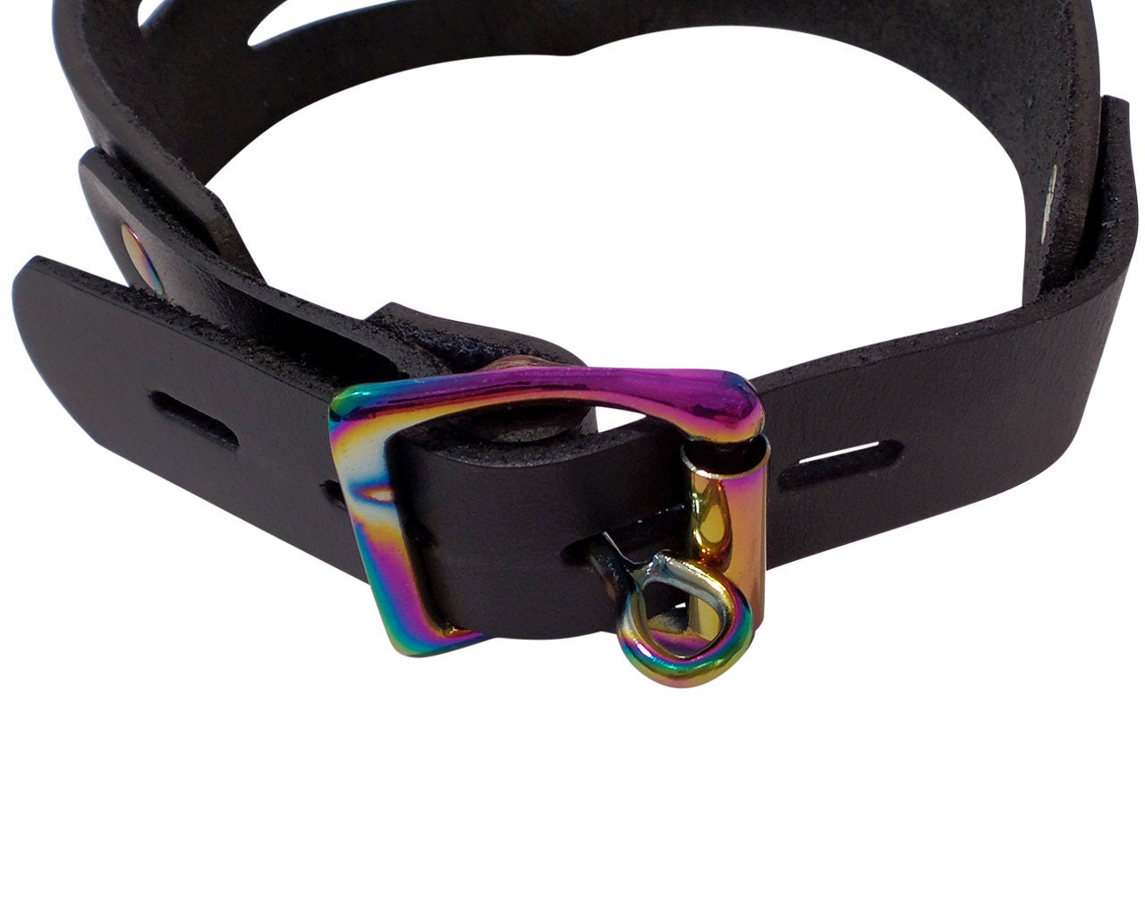 Rainbow Padded Leather Lockable Posture Collar – Clawfoot Productions